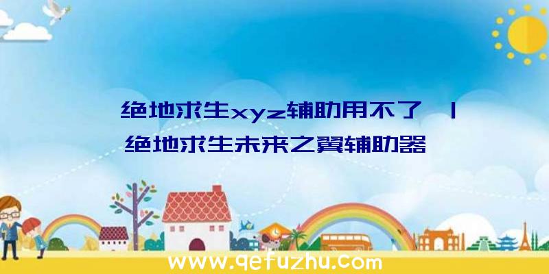 「绝地求生xyz辅助用不了」|绝地求生未来之翼辅助器